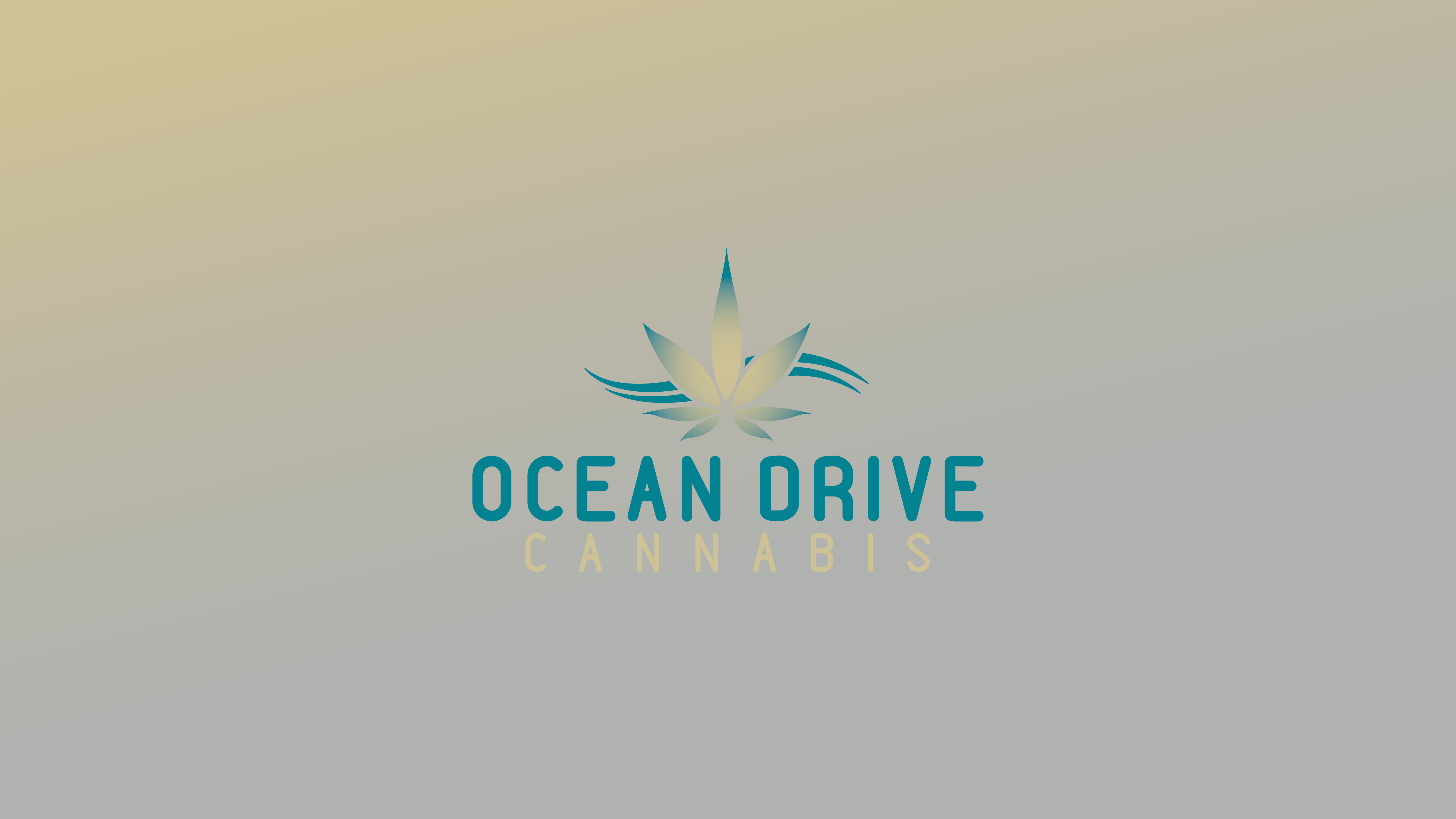 Why Cannabis Still Carries a Negative Reputation in Florida